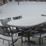 Snowy Garden